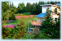 homer alaska